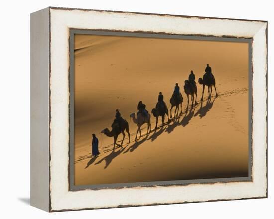 Camel Caravan Riding Through the Sand Dunes of Merzouga, Morocco, North Africa, Africa-Michael Runkel-Framed Premier Image Canvas