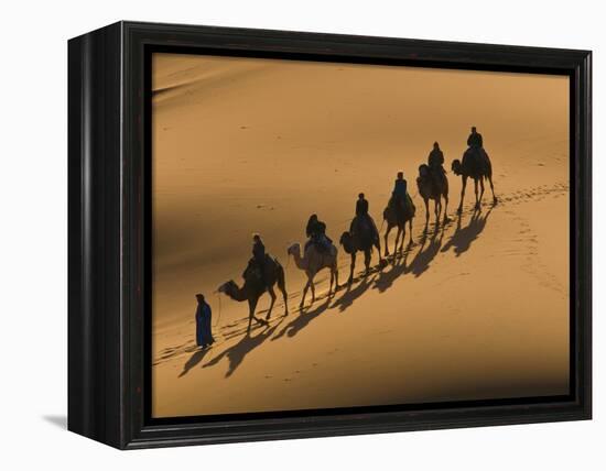 Camel Caravan Riding Through the Sand Dunes of Merzouga, Morocco, North Africa, Africa-Michael Runkel-Framed Premier Image Canvas