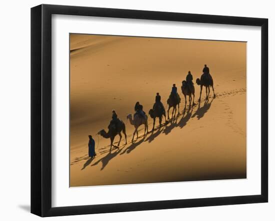 Camel Caravan Riding Through the Sand Dunes of Merzouga, Morocco, North Africa, Africa-Michael Runkel-Framed Photographic Print