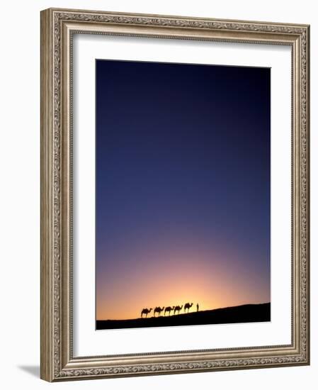 Camel Caravan Silhouette at Dawn, Silk Road, China-Keren Su-Framed Photographic Print