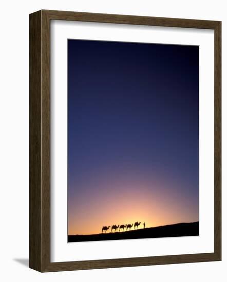 Camel Caravan Silhouette at Dawn, Silk Road, China-Keren Su-Framed Photographic Print