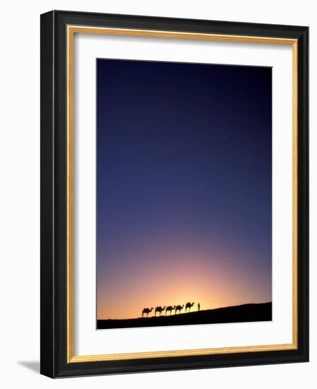 Camel Caravan Silhouette at Dawn, Silk Road, China-Keren Su-Framed Photographic Print