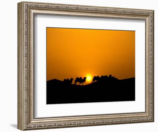 Camel Caravan Silhouette at Dawn, Silk Road, China-Keren Su-Framed Photographic Print