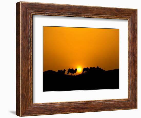 Camel Caravan Silhouette at Dawn, Silk Road, China-Keren Su-Framed Photographic Print