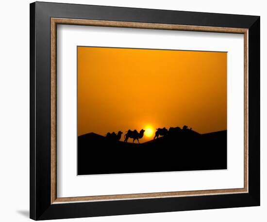 Camel Caravan Silhouette at Dawn, Silk Road, China-Keren Su-Framed Photographic Print