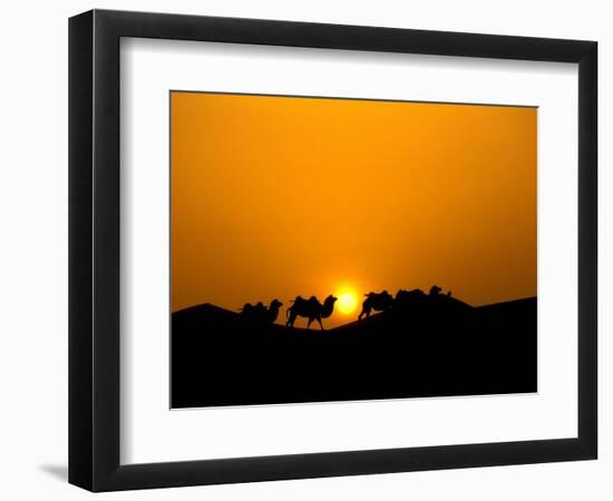 Camel Caravan Silhouette at Dawn, Silk Road, China-Keren Su-Framed Photographic Print