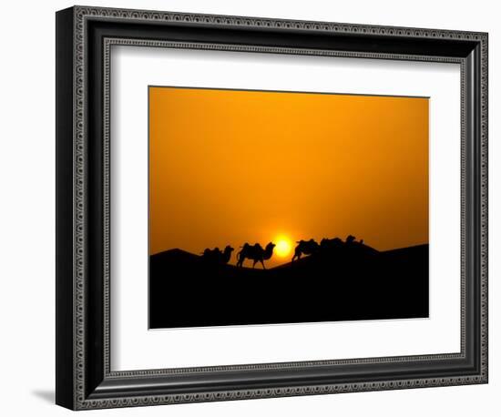 Camel Caravan Silhouette at Dawn, Silk Road, China-Keren Su-Framed Photographic Print