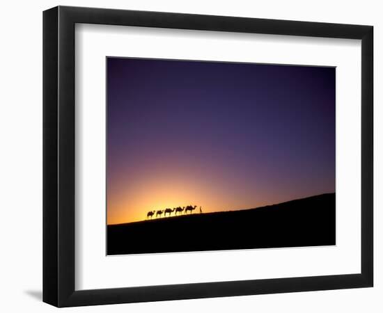 Camel Caravan Silhouette at Dawn, Silk Road, China-Keren Su-Framed Photographic Print