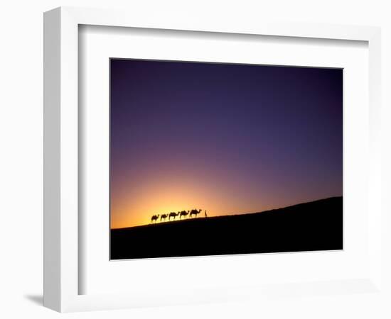 Camel Caravan Silhouette at Dawn, Silk Road, China-Keren Su-Framed Photographic Print