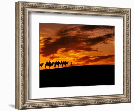 Camel Caravan Silhouette, Silk Road, China-Keren Su-Framed Photographic Print