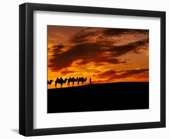 Camel Caravan Silhouette, Silk Road, China-Keren Su-Framed Photographic Print