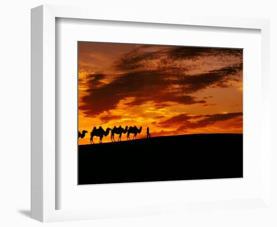 Camel Caravan Silhouette, Silk Road, China-Keren Su-Framed Photographic Print