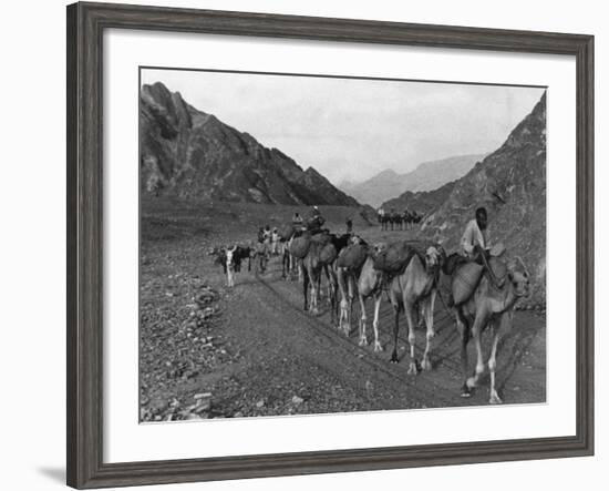 Camel Caravan-null-Framed Photographic Print