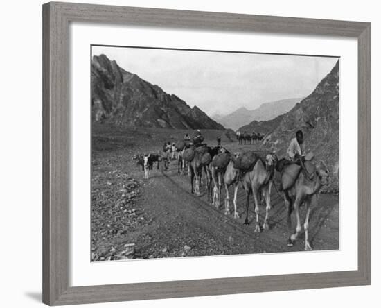 Camel Caravan-null-Framed Photographic Print