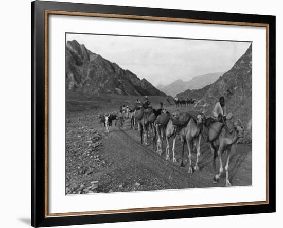 Camel Caravan-null-Framed Photographic Print