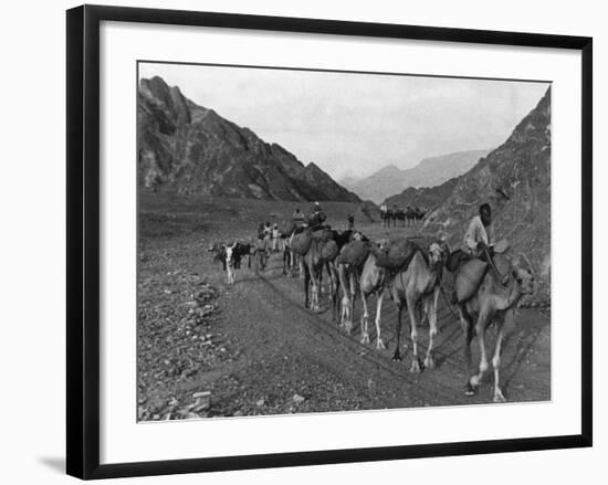 Camel Caravan-null-Framed Photographic Print