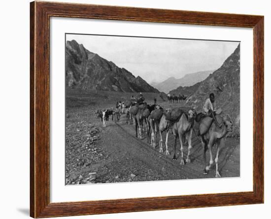 Camel Caravan-null-Framed Photographic Print