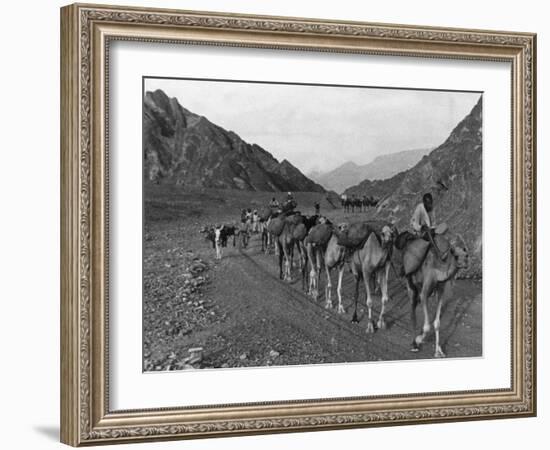 Camel Caravan-null-Framed Photographic Print