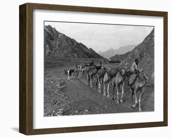 Camel Caravan-null-Framed Photographic Print