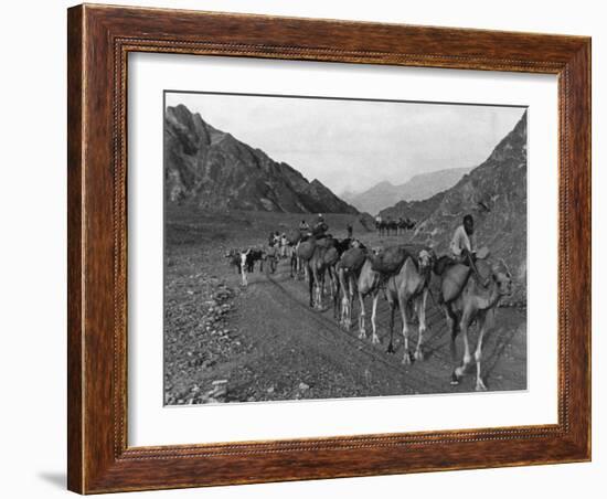 Camel Caravan-null-Framed Photographic Print