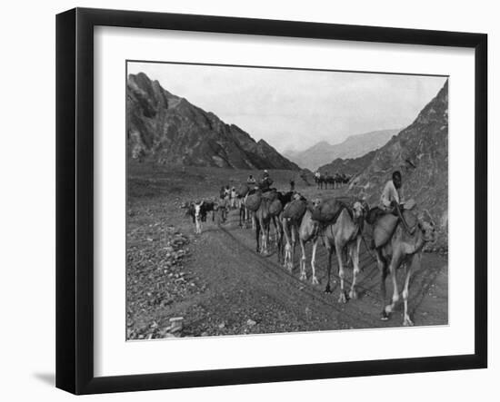 Camel Caravan-null-Framed Photographic Print