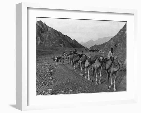 Camel Caravan-null-Framed Photographic Print