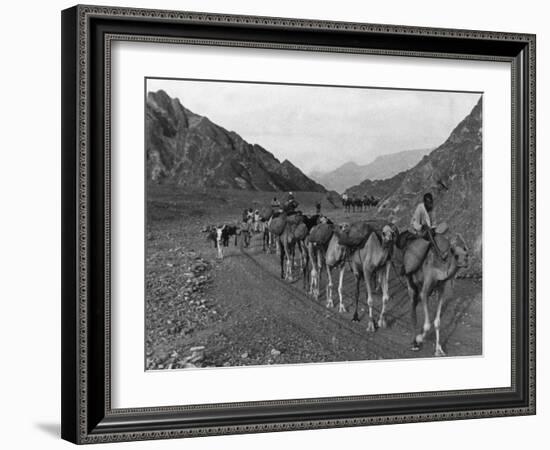 Camel Caravan-null-Framed Photographic Print