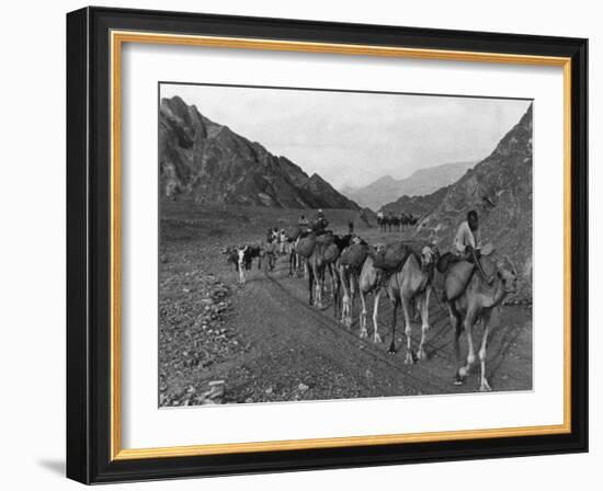 Camel Caravan-null-Framed Photographic Print