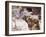 Camel Drinking, Jordan, Petra-Neale Clarke-Framed Photographic Print