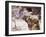 Camel Drinking, Jordan, Petra-Neale Clarke-Framed Photographic Print