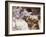 Camel Drinking, Jordan, Petra-Neale Clarke-Framed Photographic Print