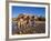 Camel Driver, Ait Benhaddou, Atlas Mountains, Morocco, Mr-Doug Pearson-Framed Photographic Print