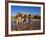 Camel Driver, Ait Benhaddou, Atlas Mountains, Morocco, Mr-Doug Pearson-Framed Photographic Print