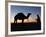 Camel Driver at Dusk in the Sahara Desert, Near Douz, Kebili, Tunisia, North Africa, Africa-Godong-Framed Photographic Print