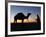 Camel Driver at Dusk in the Sahara Desert, Near Douz, Kebili, Tunisia, North Africa, Africa-Godong-Framed Photographic Print