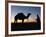 Camel Driver at Dusk in the Sahara Desert, Near Douz, Kebili, Tunisia, North Africa, Africa-Godong-Framed Photographic Print