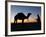 Camel Driver at Dusk in the Sahara Desert, Near Douz, Kebili, Tunisia, North Africa, Africa-Godong-Framed Photographic Print