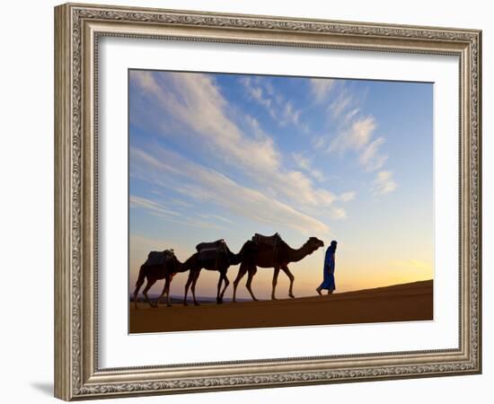 Camel Driver, Sahara Desert, Merzouga, Morocco, (MR)-Doug Pearson-Framed Photographic Print