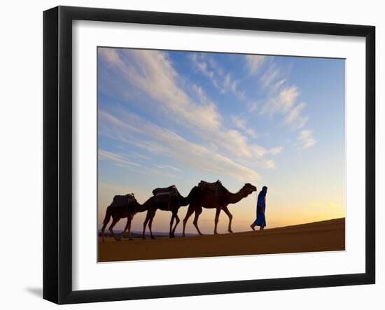 Camel Driver, Sahara Desert, Merzouga, Morocco, (MR)-Doug Pearson-Framed Photographic Print