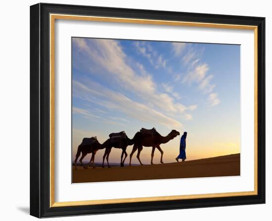 Camel Driver, Sahara Desert, Merzouga, Morocco, (MR)-Doug Pearson-Framed Photographic Print