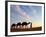 Camel Driver, Sahara Desert, Merzouga, Morocco, (MR)-Doug Pearson-Framed Photographic Print