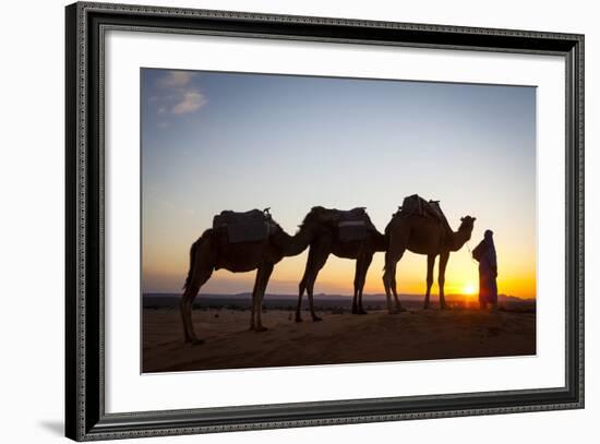 Camel Driver, Sahara Desert, Merzouga, Morocco, North Africa, Africa-Doug Pearson-Framed Photographic Print