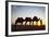 Camel Driver, Sahara Desert, Merzouga, Morocco, North Africa, Africa-Doug Pearson-Framed Photographic Print