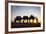 Camel Driver, Sahara Desert, Merzouga, Morocco, North Africa, Africa-Doug Pearson-Framed Photographic Print