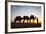 Camel Driver, Sahara Desert, Merzouga, Morocco, North Africa, Africa-Doug Pearson-Framed Photographic Print