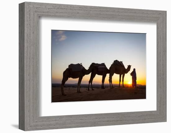 Camel Driver, Sahara Desert, Merzouga, Morocco, North Africa, Africa-Doug Pearson-Framed Photographic Print