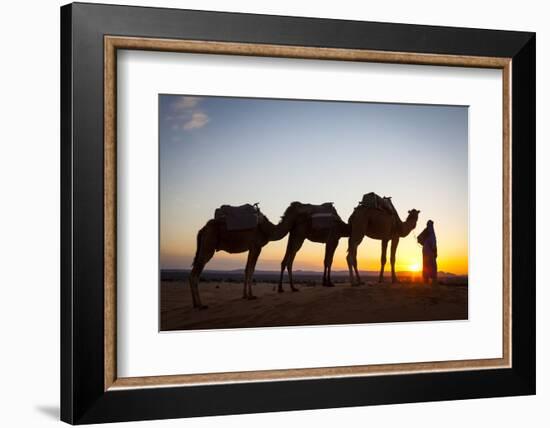 Camel Driver, Sahara Desert, Merzouga, Morocco, North Africa, Africa-Doug Pearson-Framed Photographic Print