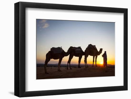 Camel Driver, Sahara Desert, Merzouga, Morocco, North Africa, Africa-Doug Pearson-Framed Photographic Print