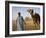 Camel Driver Stands in Front of the Pyramids at Giza, Egypt-Julian Love-Framed Photographic Print