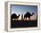 Camel Drivers at Dusk in the Sahara Desert, Near Douz, Kebili, Tunisia, North Africa, Africa-Godong-Framed Premier Image Canvas